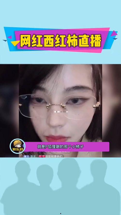 爆料网红直播视频大全下载,揭秘热门直播幕后精彩瞬间